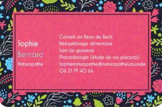 Chambre Independante Avec Jardin Privatif 拉隆德莱丝莫里斯 外观 照片